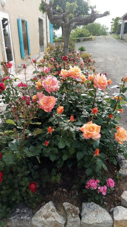 Bed and Breakfast La Vigneronne à Villelongue-d'Aude Extérieur photo