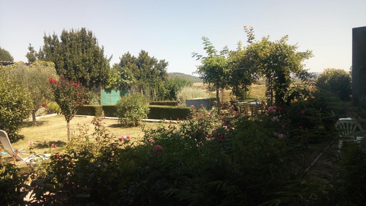 Bed and Breakfast La Vigneronne à Villelongue-d'Aude Extérieur photo